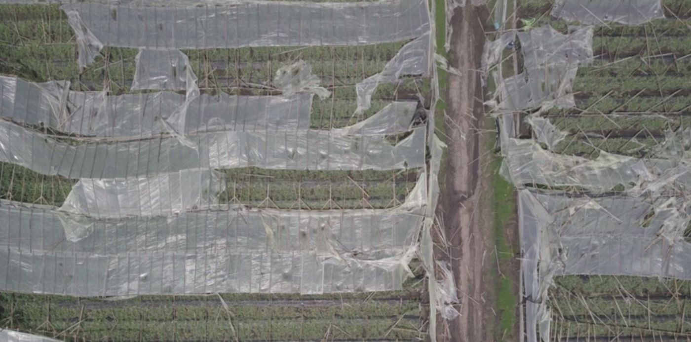 1551038492533.jpg?width=1261&height=630&rotate=0&scaleY=1&oh=960&x=13&y=0&scaleX=1&ow=1280&&cw=1920&ch=950