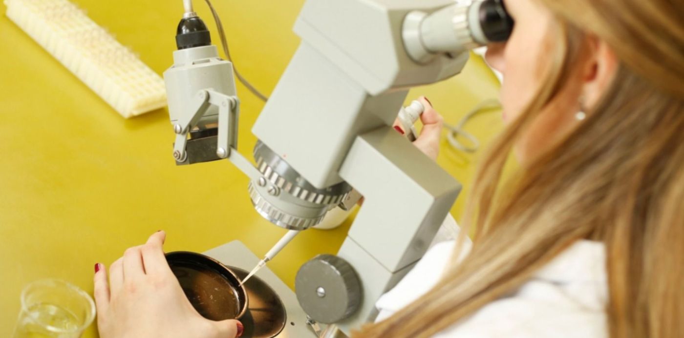 1558548329911.jpg?rotate=0&oh=1000&x=7&height=745&scaleX=1&scaleY=1&ow=1500&y=135&width=1490&&cw=1920&ch=950