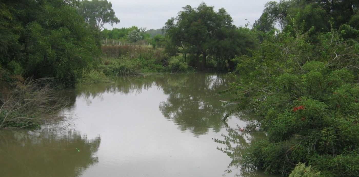 1557766512783.jpg?scaleY=1&ow=1500&x=4&width=1493&rotate=0&scaleX=1&oh=1125&y=83&height=746&&cw=1920&ch=950