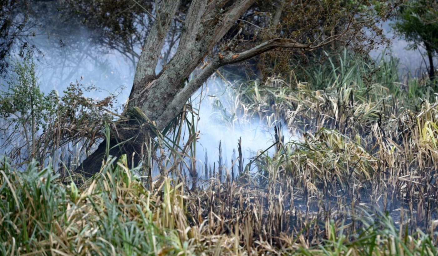 Copia de Copia de Tapa horizontal.png