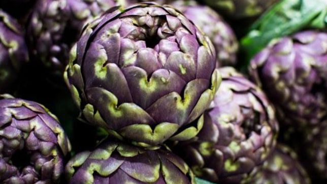 plaza moreno se llena de alcauciles por la fiesta que convoca a miles de platenses