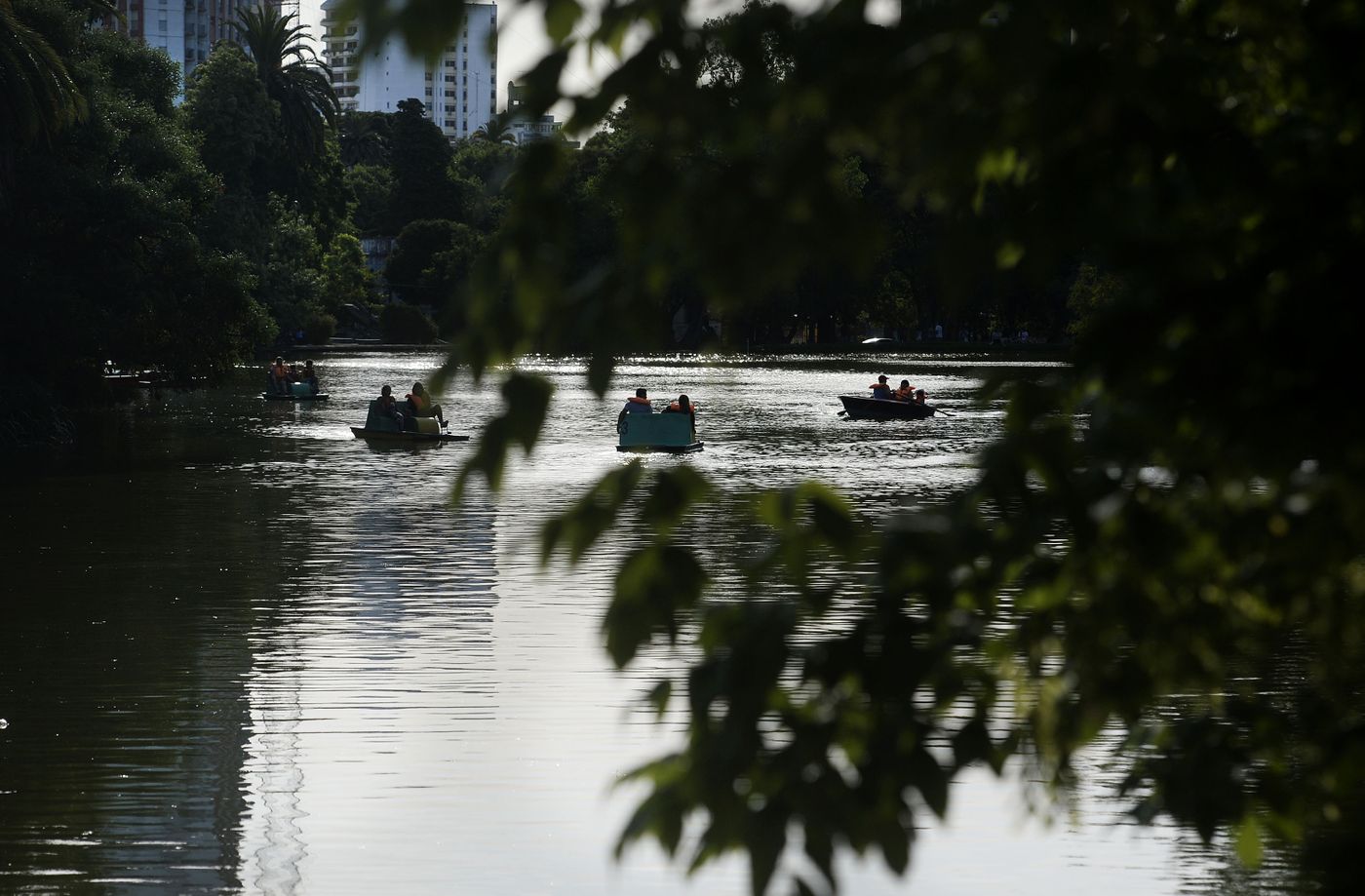 Lago Paseo del Bosque (3)