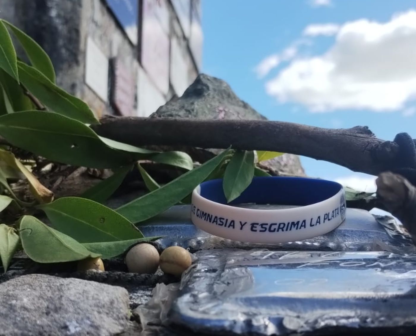 Ofrenda Gimnasia Cerro El Calvario.jpg