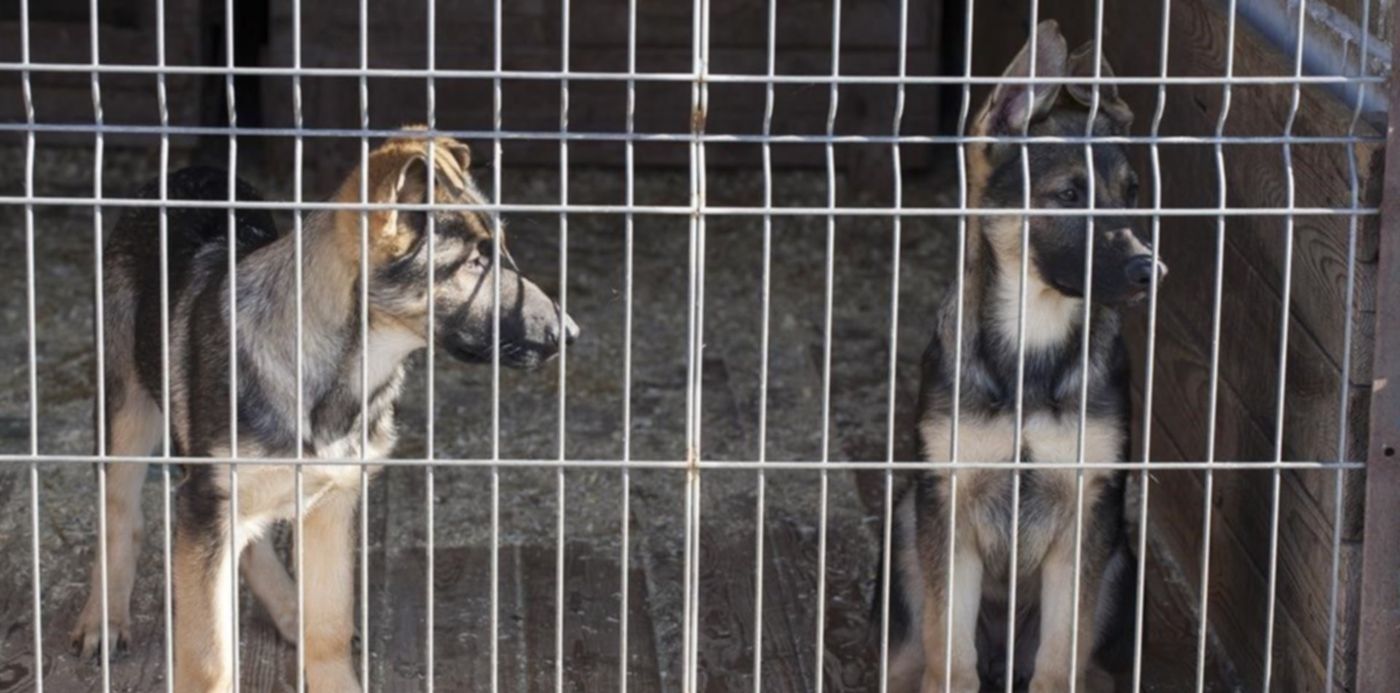 1561237593510.jpg?width=1189&height=595&scaleX=1&scaleY=1&oh=674&x=5&y=0&rotate=0&ow=1200&&cw=1920&ch=950