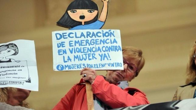 el crimen en tolosa renovo el pedido por la emergencia en violencia de genero en la plata