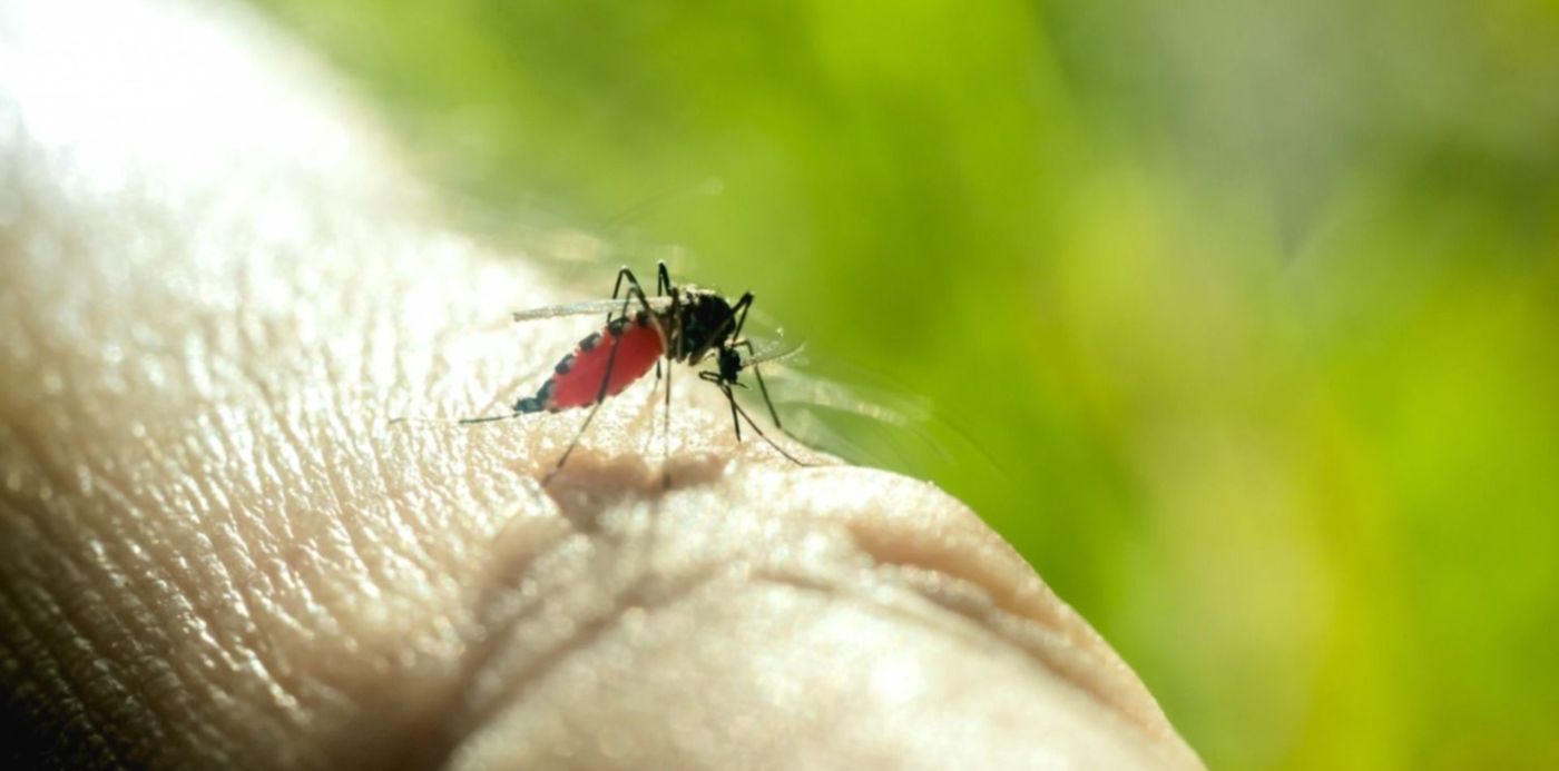 1582765966714.jpg?x=3&rotate=0&oh=1000&ow=1500&y=97&width=1493&height=747&scaleX=1&scaleY=1&&cw=1920&ch=950