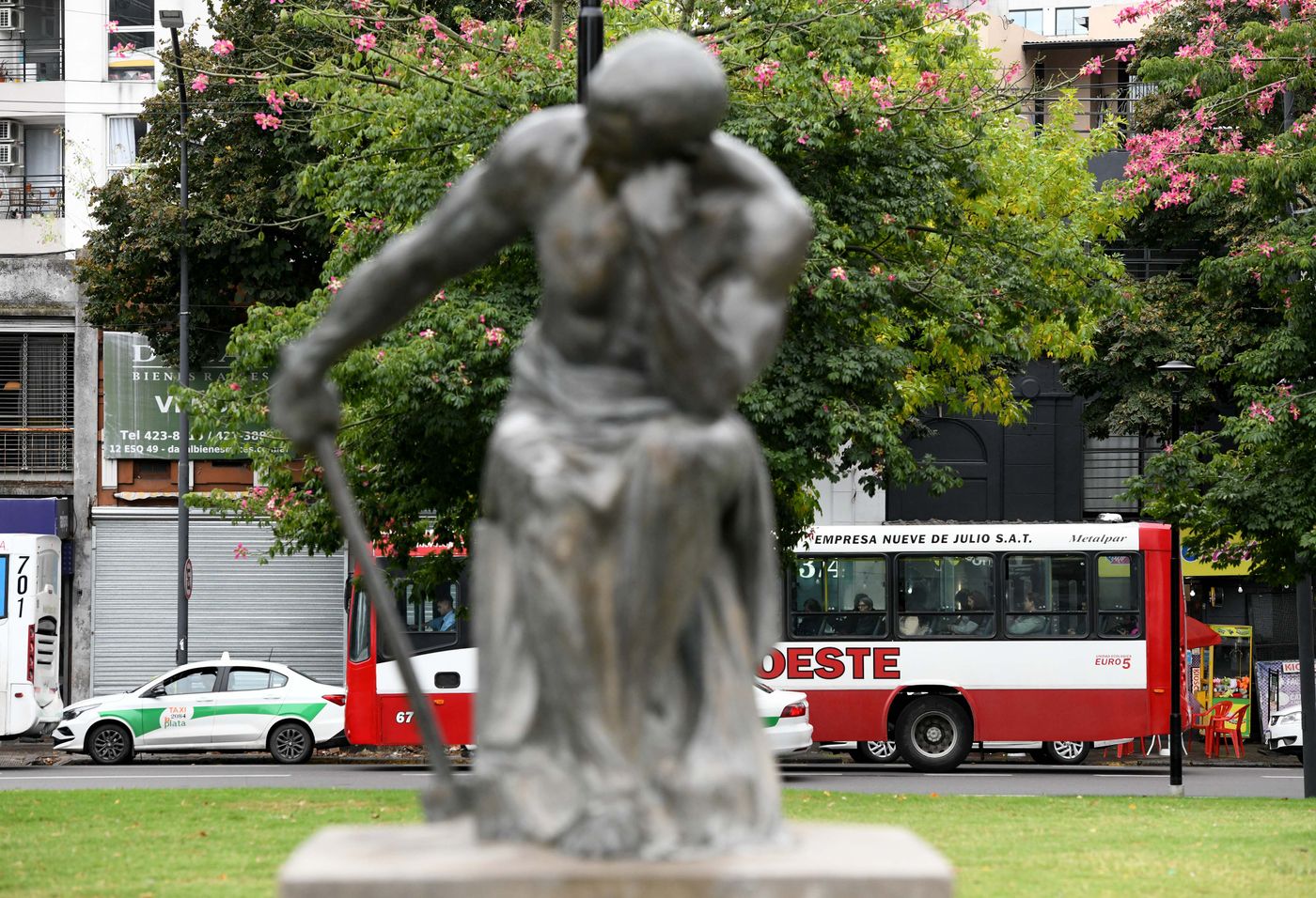 Micros colectivos (4)