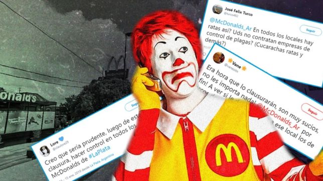 los platenses estallaron por la clausura del mcdonalds: ¿en todos hay ratas asi?