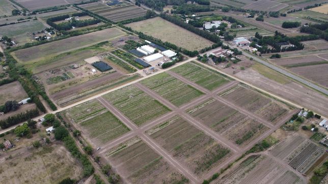 buscan embargar a los urbanizadores que impulsan loteos ilegales