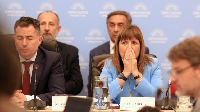 renuncio un funcionario clave de bullrich y es el primer platense en dejar el gobierno de milei