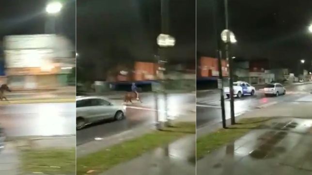 video: como en el lejano oeste, la policia persiguio a un jinete por las calles platenses