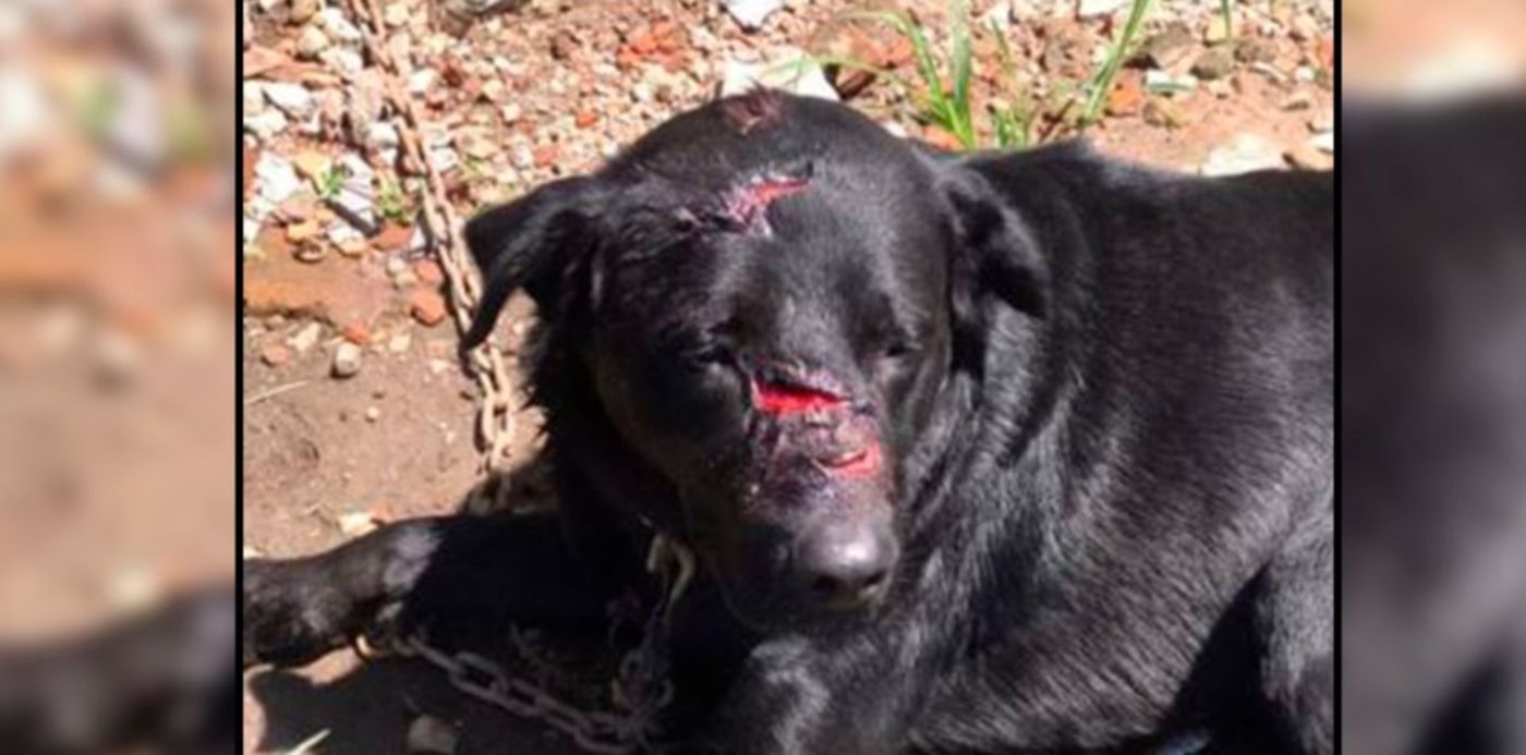 1643489474009.jpg?x=0&y= 6&width=1500&height=750&rotate=0&scaleX=1&scaleY=1&ow=1500&oh=742&&cw=1920&ch=950