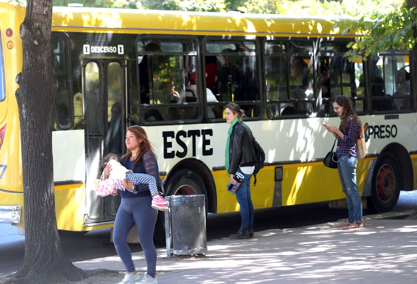 Micro línea este