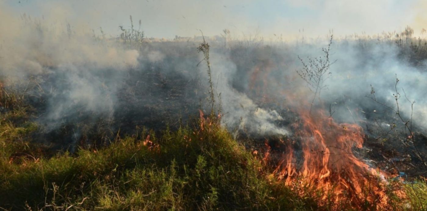 1554844149422.jpg?rotate=0&scaleY=1&ow=1280&x=9&width=1262&height=631&scaleX=1&oh=850&y=212&&cw=1920&ch=950