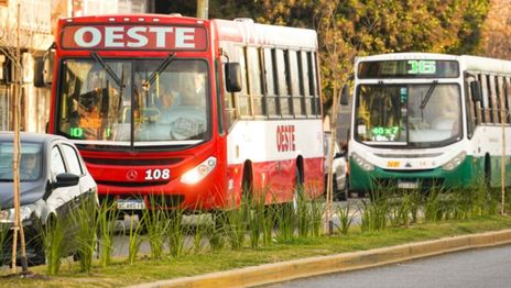 Aumenta la tensión por presuntas irregularidades en la licitación del transporte público en La Plata Aumenta la tensión por presuntas irregularidades en la licitación del transporte público en La Plata