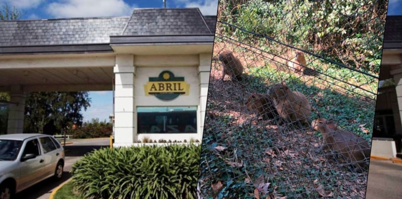 1593478154620.jpg?x=12&y=0&width=1477&height=738&rotate=0&scaleX=1&scaleY=1&ow=1500&oh=742&&cw=1920&ch=950