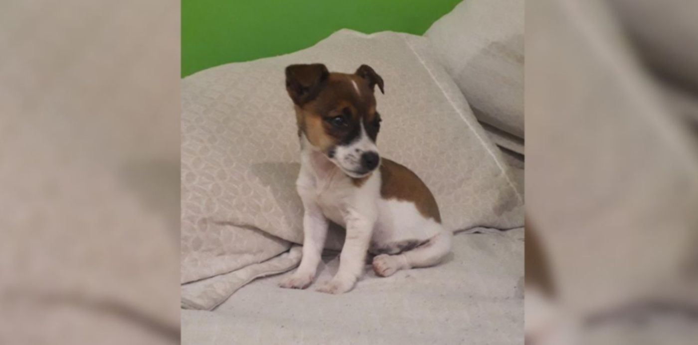 1566401300753.jpg?x=86&y=50&width=1166&height=583&scaleY=1&rotate=0&scaleX=1&ow=1350&oh=650&&cw=1920&ch=950