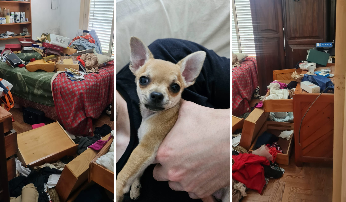 Diseño sin título.png