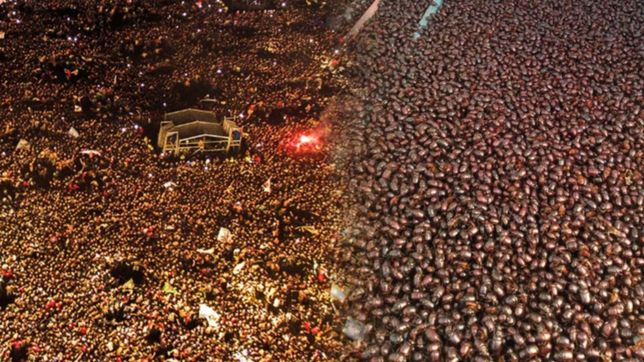 el tuit que compara una invasion de cascarudos con un recital del indio solari y es viral