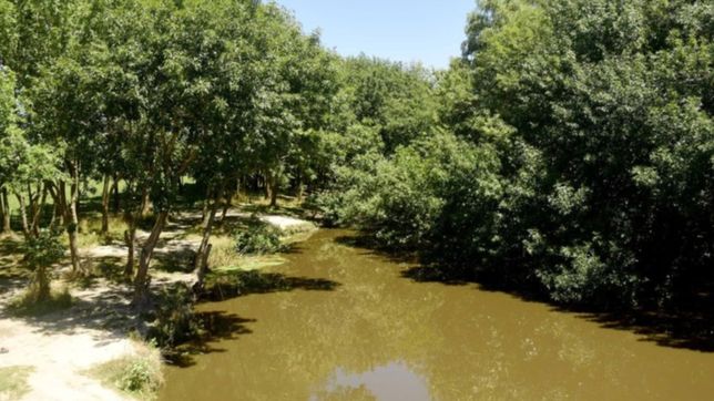 ratifican la prohibicion de construcciones privadas en el humedal del arroyo el pescado