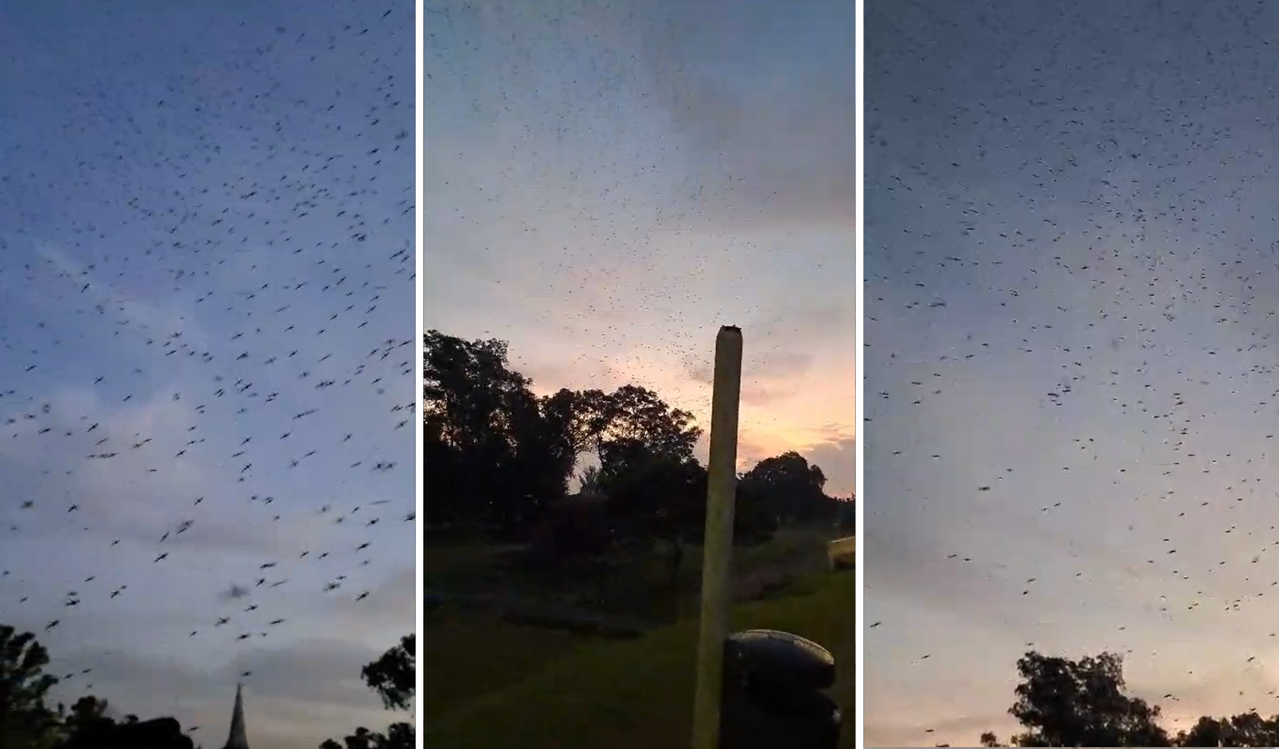 Copia de Copia de Diseño sin título.png