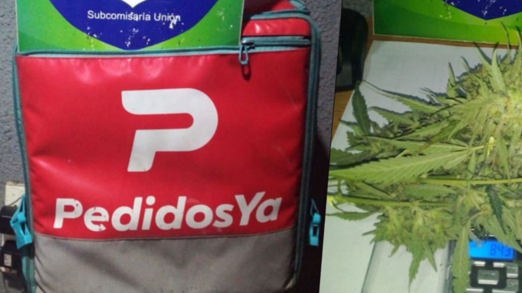Detuvieron a dos hermanos por llevar una planta de marihuana en una mochila de Pedidos Ya