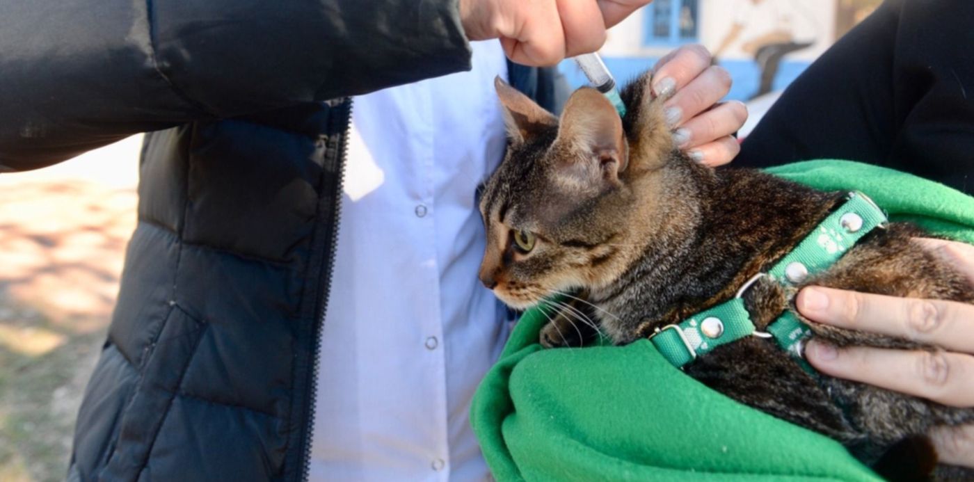 1560818210415.jpeg?scaleY=1&ow=1500&x=7&height=743&scaleX=1&oh=996&y=253&width=1486&rotate=0&&cw=1920&ch=950