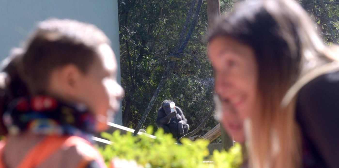 Reapertura del Bioparque de La Plata