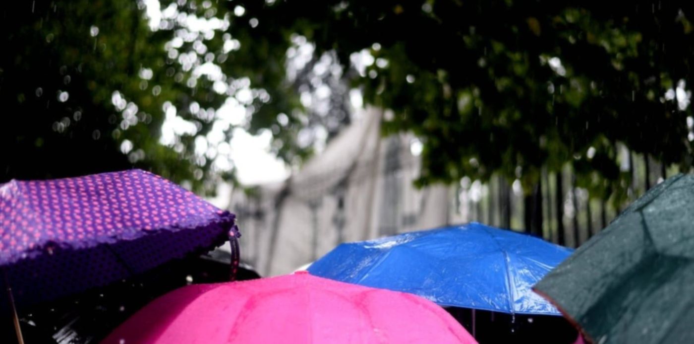 1612189533429.jpeg?x= 2&y=87&width=1237&height=619&rotate=0&scaleX=1&scaleY=1&ow=1232&oh=820&&cw=1920&ch=950