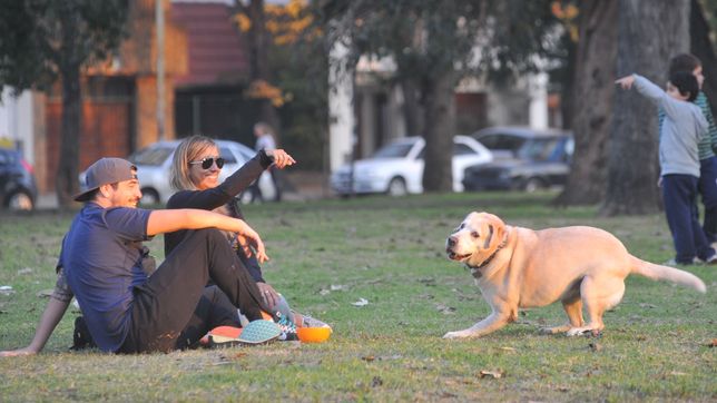 ¿como estara el clima en la plata durante el feriado y el resto de la semana?