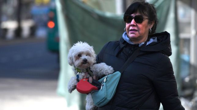 con la vuelta del frio y las lluvias: asi estara el clima en la plata el finde largo