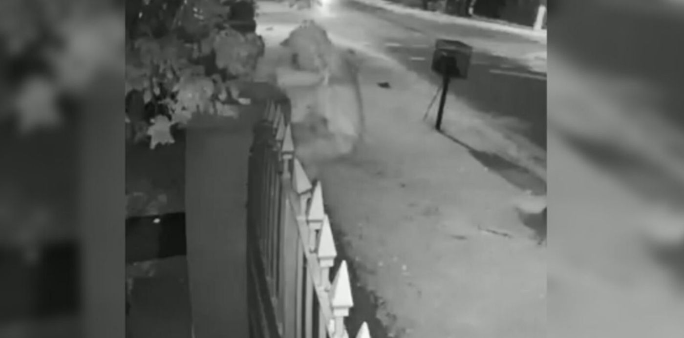 1583321295951.jpg?width=1289&scaleY=1&ow=1350&oh=650&x=42&y=1&height=645&rotate=0&scaleX=1&&cw=1920&ch=950