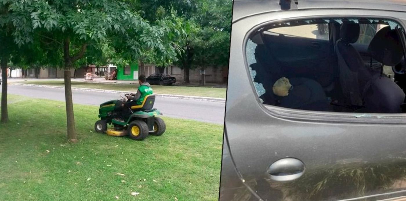 Auto dañado por piedra