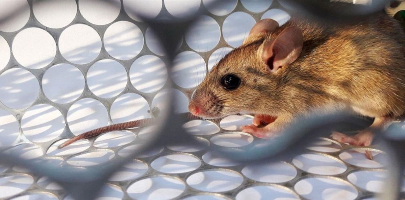 1547771063631.jpg?width=1486&height=743&scaleX=1&scaleY=1&ow=1500&x=7&y=0&rotate=0&oh=842&&cw=1920&ch=950