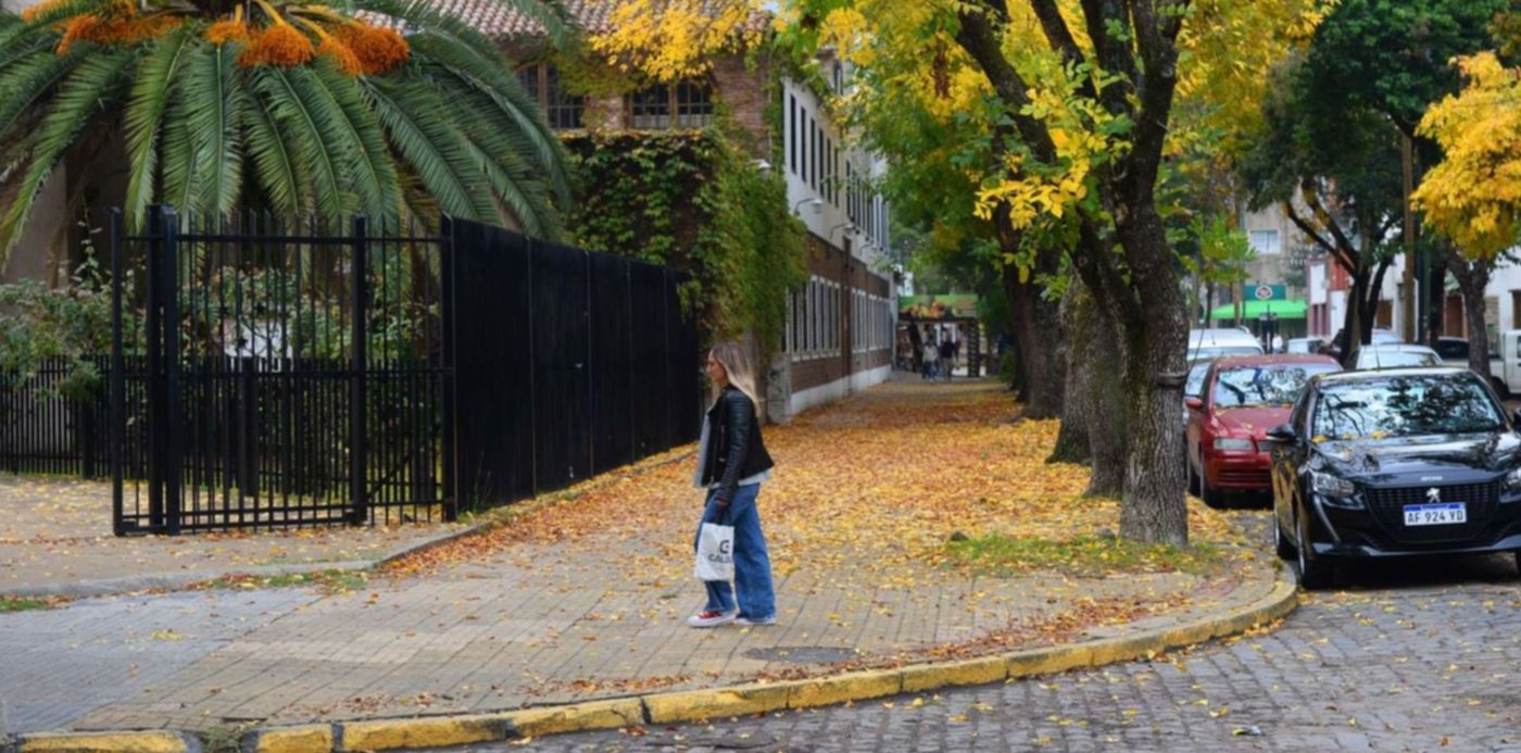 1683630459176.jpg?x=5&y=139&width=1490&height=745&rotate=0&scaleX=1&scaleY=1&ow=1500&oh=890&&cw=1920&ch=950