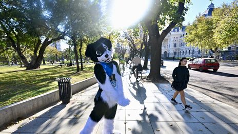 Furor por la HowlCon2026 en La Plata: ¿cuál es la diferencia entre furros y therians? Furor por la HowlCon2026 en La Plata: ¿cuál es la diferencia entre furros y therians?
