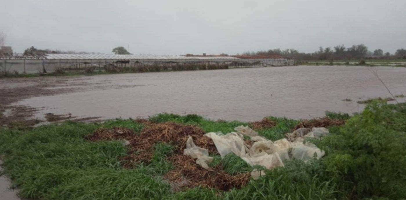 Daños por el temporal en el cinturón frutihortícola