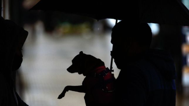 las recomendaciones de edelap por la tormenta que se viene a la plata