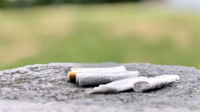 ¿cuanto saldran las multas por tirar colillas de cigarrillos en las calles de la plata?