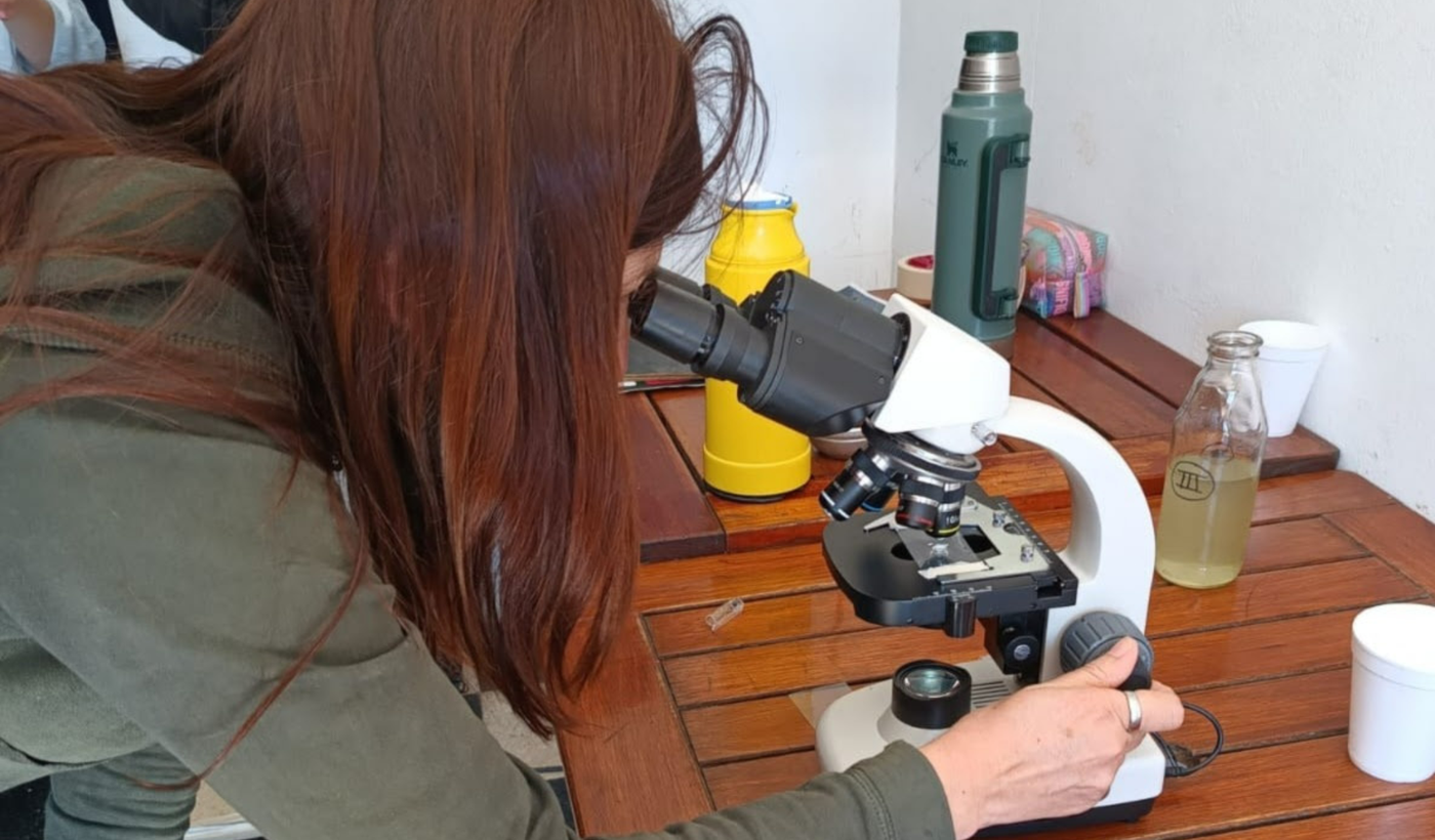 Copia de Diseño sin título (7).png