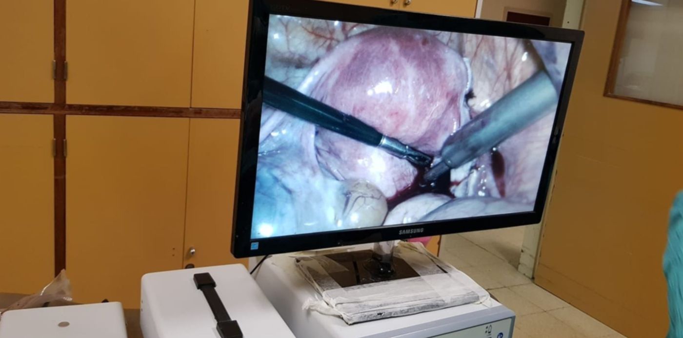 1560366027336.jpg?rotate=0&scaleY=1&ow=1440&oh=1080&y=209&width=1433&scaleX=1&x=4&height=716&&cw=1920&ch=950