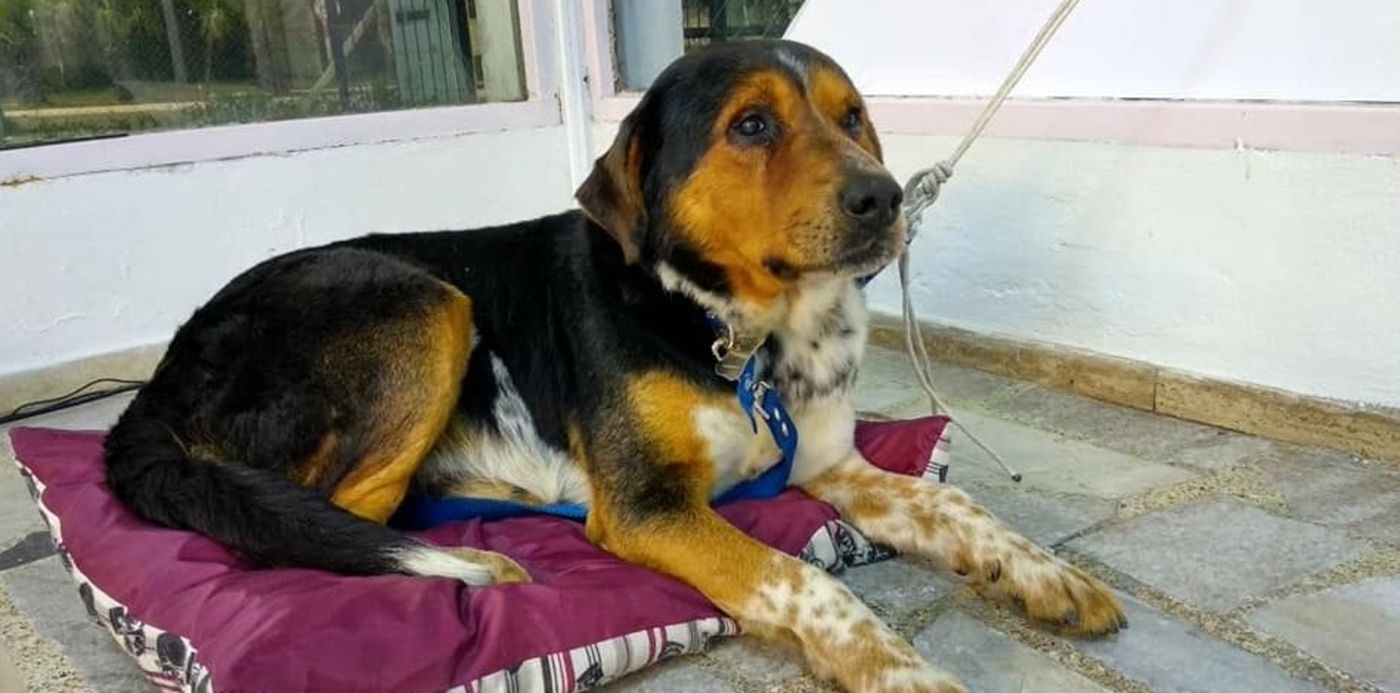 1566506219578.jpg?oh=540&y=20&width=948&scaleY=1&scaleX=1&ow=960&x=6&height=474&rotate=0&&cw=1920&ch=950