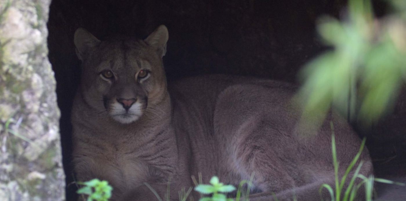 1533154415113.jpg?&cw=1920&ch=950