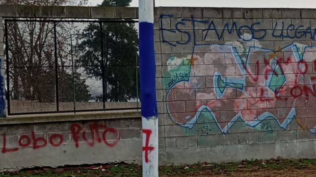 tripero vas a cobrar: el bosquecito amanecio con pintadas y crece la polemica