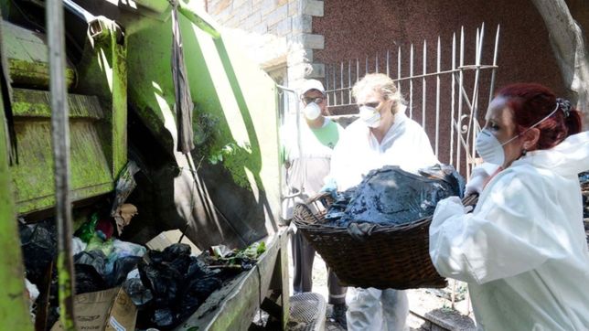 asistencia para acumuladores, la casa de barreda y multas: el operativo anti hantavirus en la plata