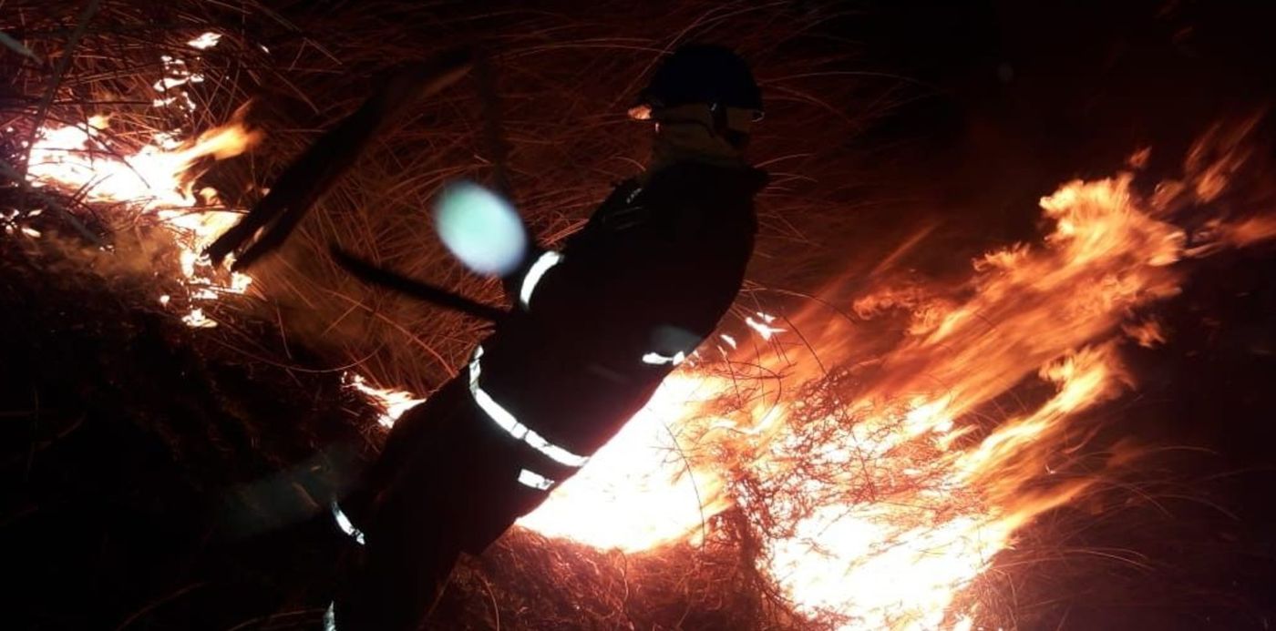 1589545384504.jpg?x=10&scaleY=1&ow=1032&oh=581&y=59&width=1008&height=504&rotate=0&scaleX=1&&cw=1920&ch=950