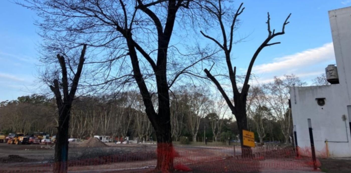 1659655833618.jpeg?x=8&y=252&width=1011&height=505&rotate=0&scaleX=1&scaleY=1&ow=1024&oh=768&&cw=1920&ch=950