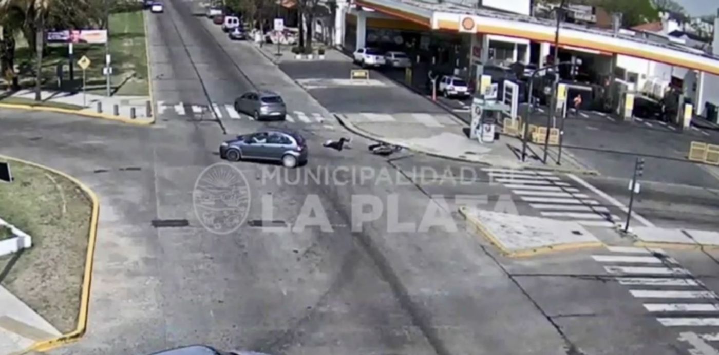 1570651045191.jpg?height=631&rotate=0&x=3&y=0&width=1263&scaleX=1&scaleY=1&ow=1267&oh=642&&cw=1920&ch=950