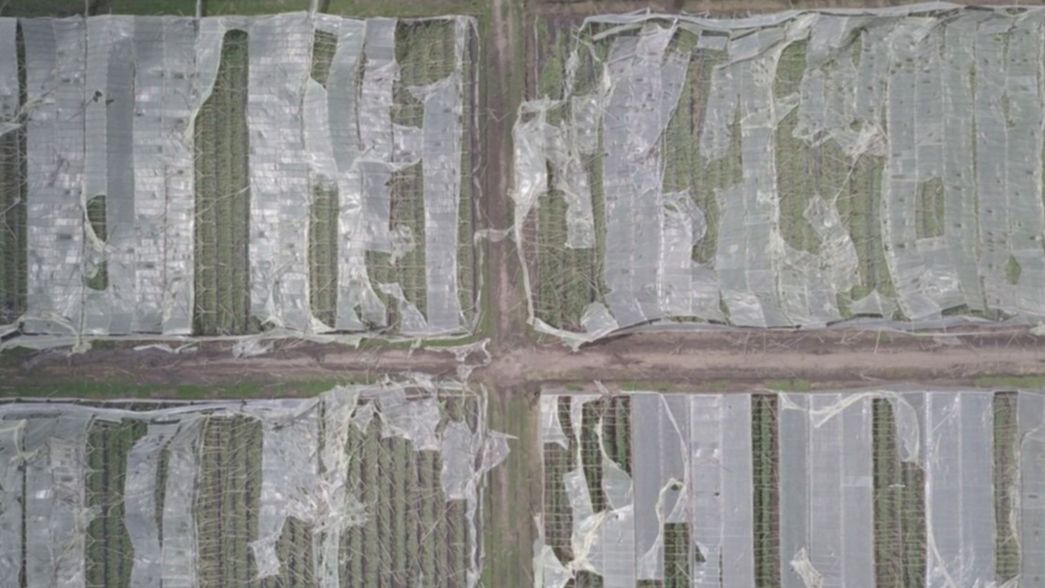 La UNLP diseñará invernaderos resistentes al granizo para el cinturón frutihortícola de La Plata