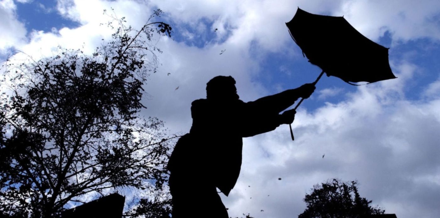 1608410025839.jpg?x=9&y=107&width=1489&height=744&rotate=0&scaleX=1&scaleY=1&ow=1500&oh=984&&cw=1920&ch=950